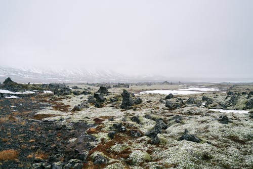 Fog over Barren Rocks