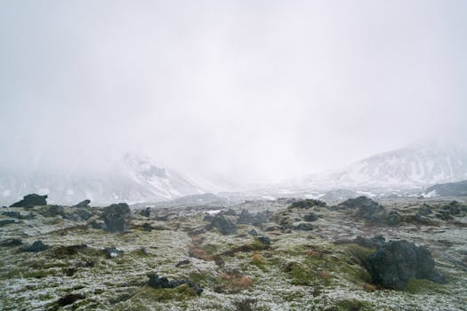 A foggy mountain landscape featuring rocks and moss in a serene natural setting.