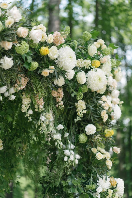 Kostenloses Stock Foto zu blumen, bunt, frisch