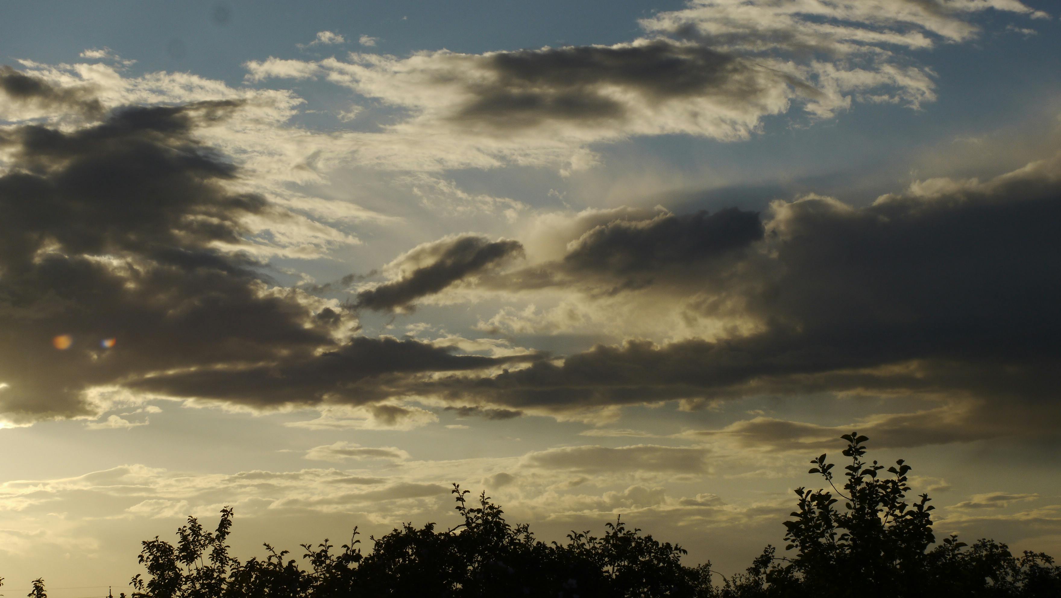 vaječný likér s rumem