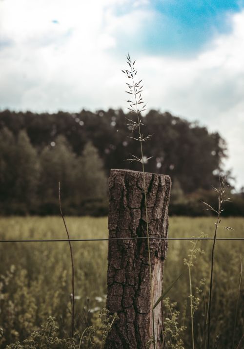 Free Rustic countryside scene featuring a wooden fence post in a grassy field under a blue sky. Stock Photo