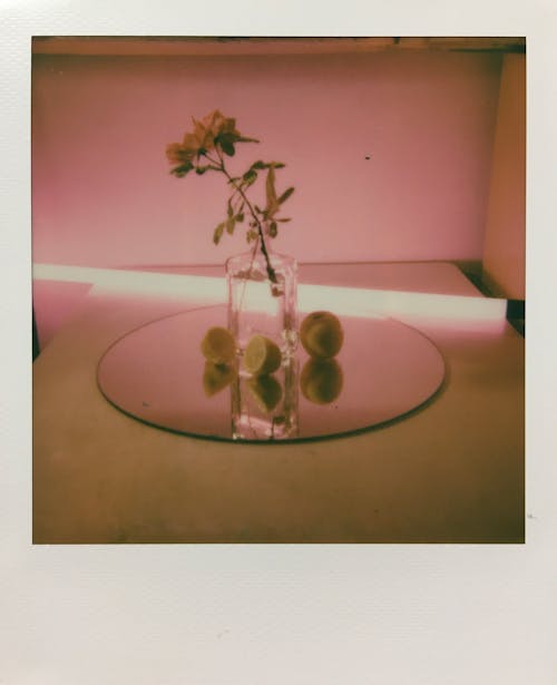 Bezpłatne Darmowe zdjęcie z galerii z dekoracja, kwiat, martwa natura Zdjęcie z galerii