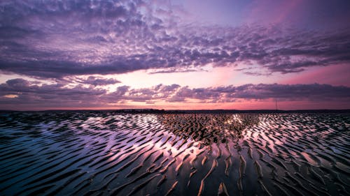 Sand Dunes at the Beach during Sunset