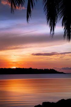 Beautiful beach sunset with vibrant colors reflecting on the calm ocean, framed by palm leaves.