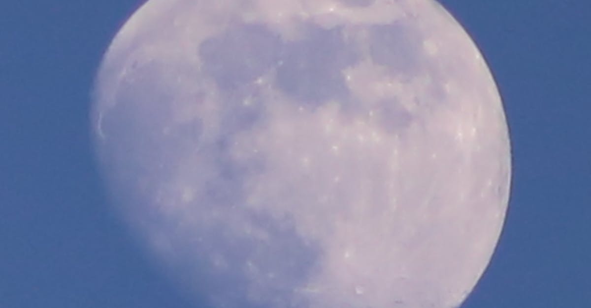 Free stock photo of daytime, moon