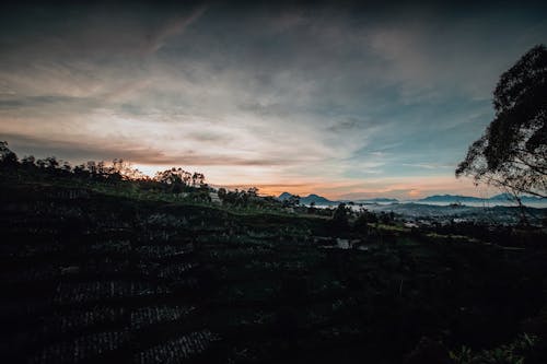 Kostnadsfri bild av apelsin, atmosfär, berg