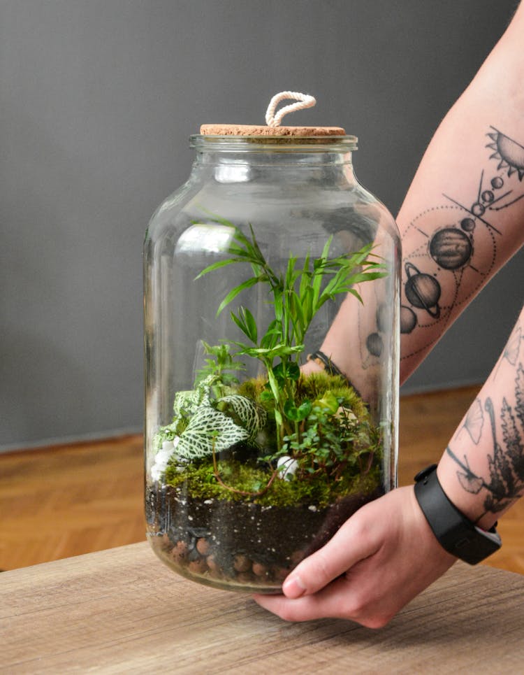 A Person Holding A Terrarium Jar