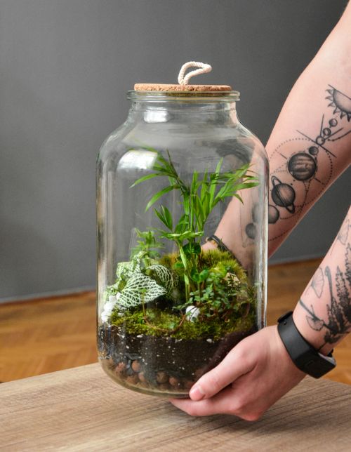 Free Close-up of a hand holding a lush green terrarium in a glass jar indoors. Stock Photo