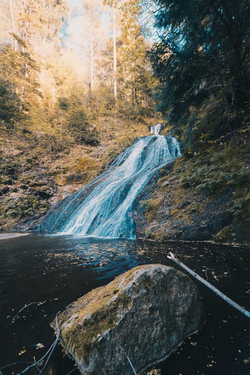 Foto profissional grátis de água, amarelo, cachoeira