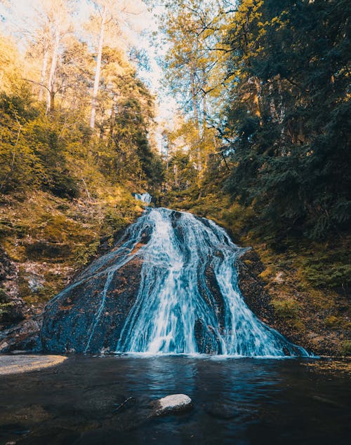 Foto profissional grátis de água, cachoeira, cor amarela