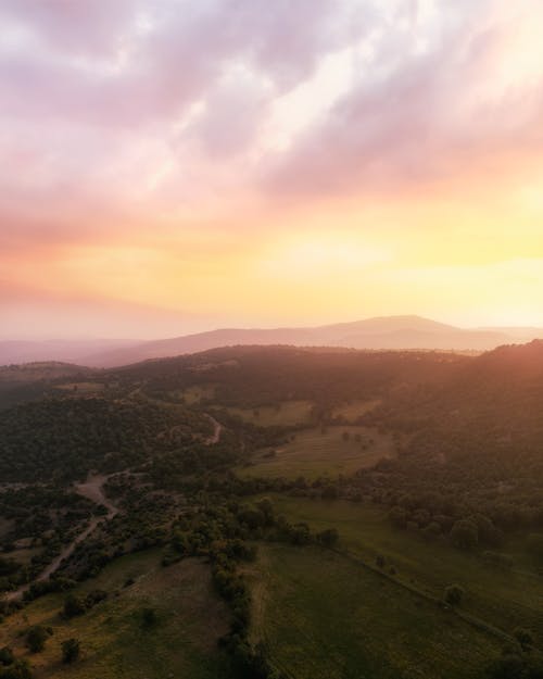 Free stock photo of aerial, drone, forest