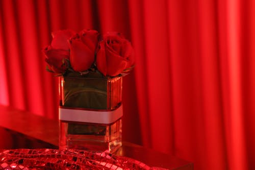 Free stock photo of flowers decoration, red roses