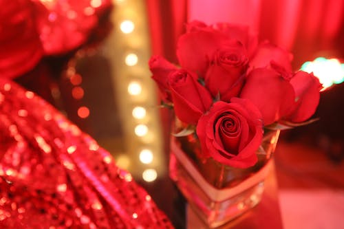 Free stock photo of flower decoration, red roses