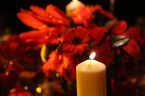 Free stock photo of burning candle, flowers decoration Stock Photo
