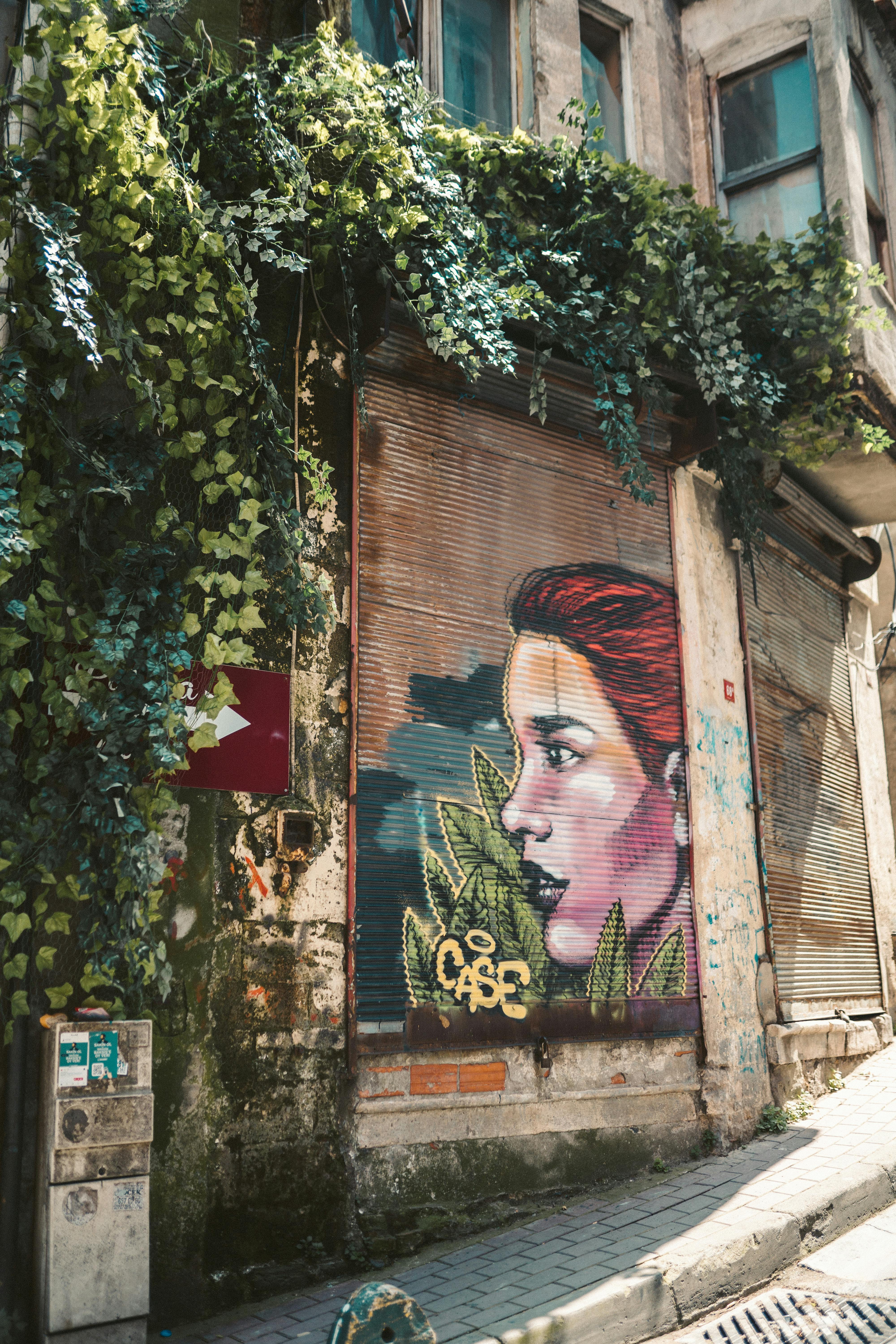 Colorful graffiti art on a building facade in Istanbul, blending nature with urban vibes.
