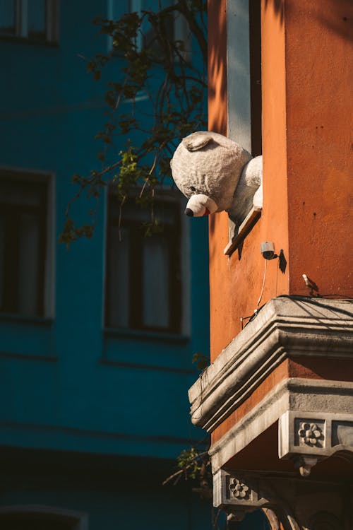 Základová fotografie zdarma na téma apartmány, balkon, hračka medvěd