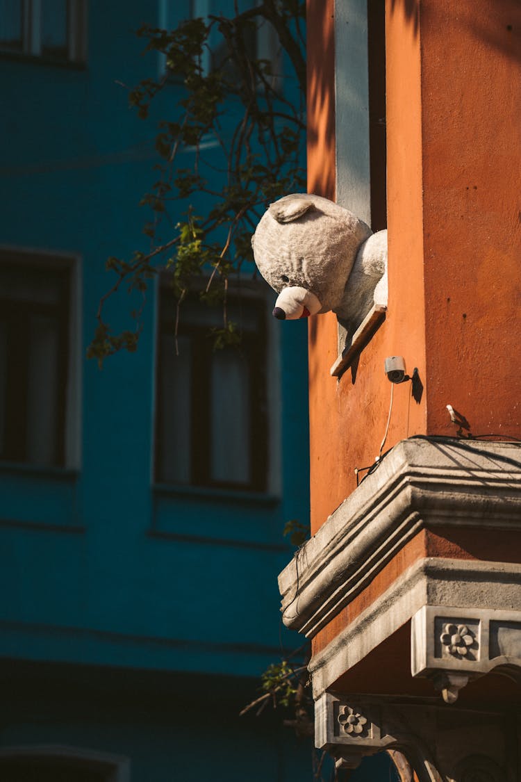 Teddy Bear Peeking Out Of The Window