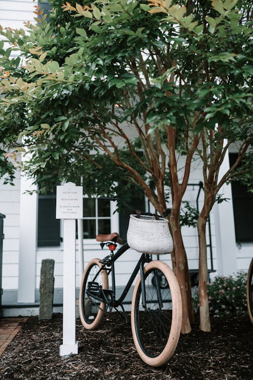 Free Brown Bicycle Parked Beside Green Tree Stock Photo