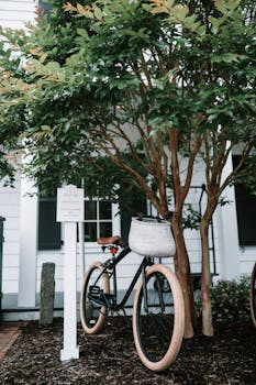 A stylish vintage bicycle parked under lush trees in a charming garden area.
