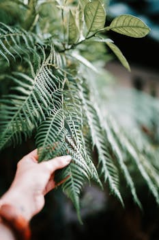 Person Holding Green Fern Plant with the Quote "To find a man's true character, play golf with him." written on it and have average color value #626C5B