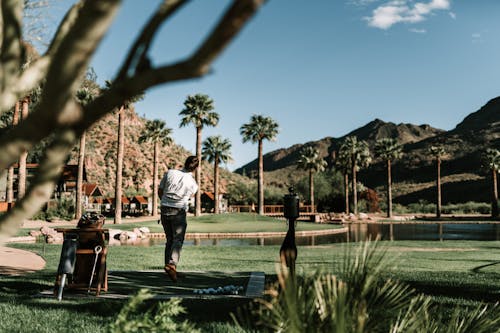 Foto d'estoc gratuïta de a l'aire lliure, bossa de golf, camp d'herba