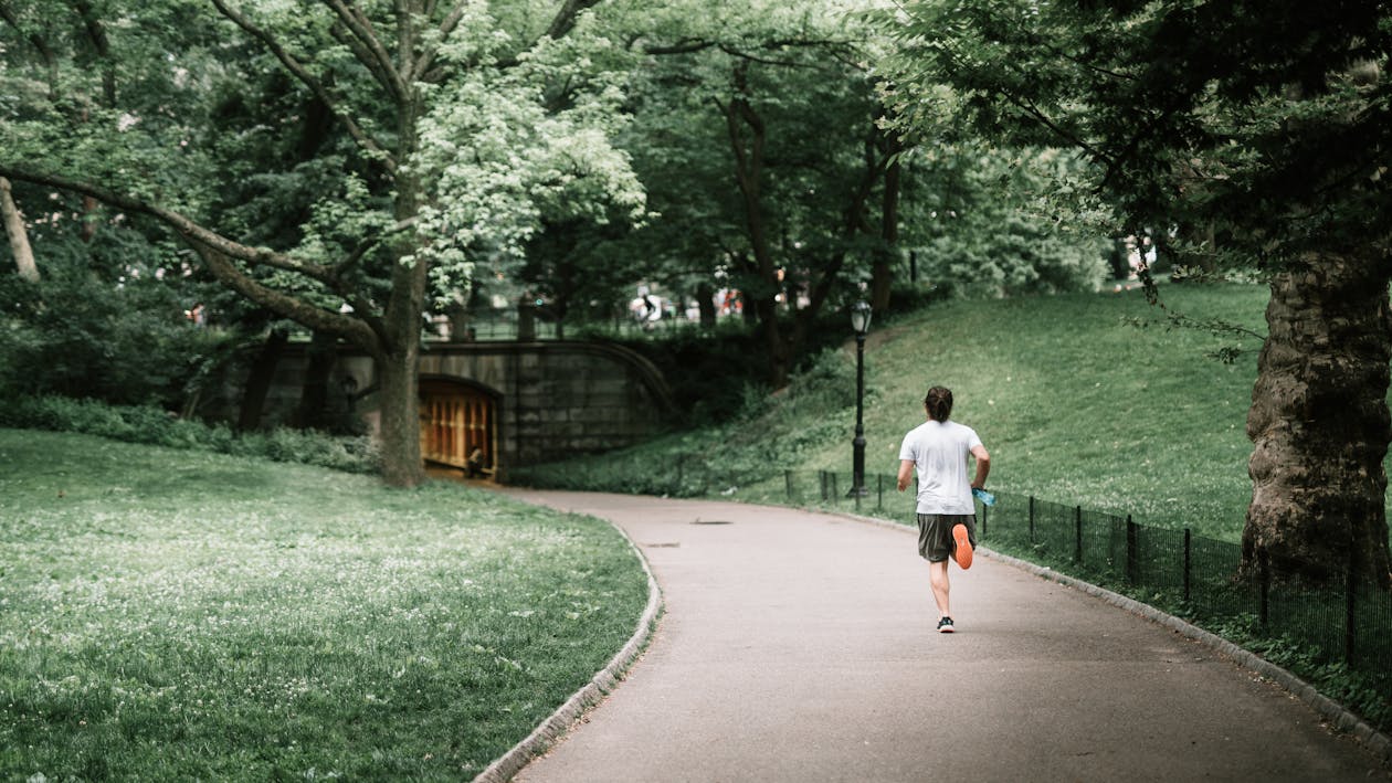 Free Photo of Man Jogging on Paved Pathway Stock Photo