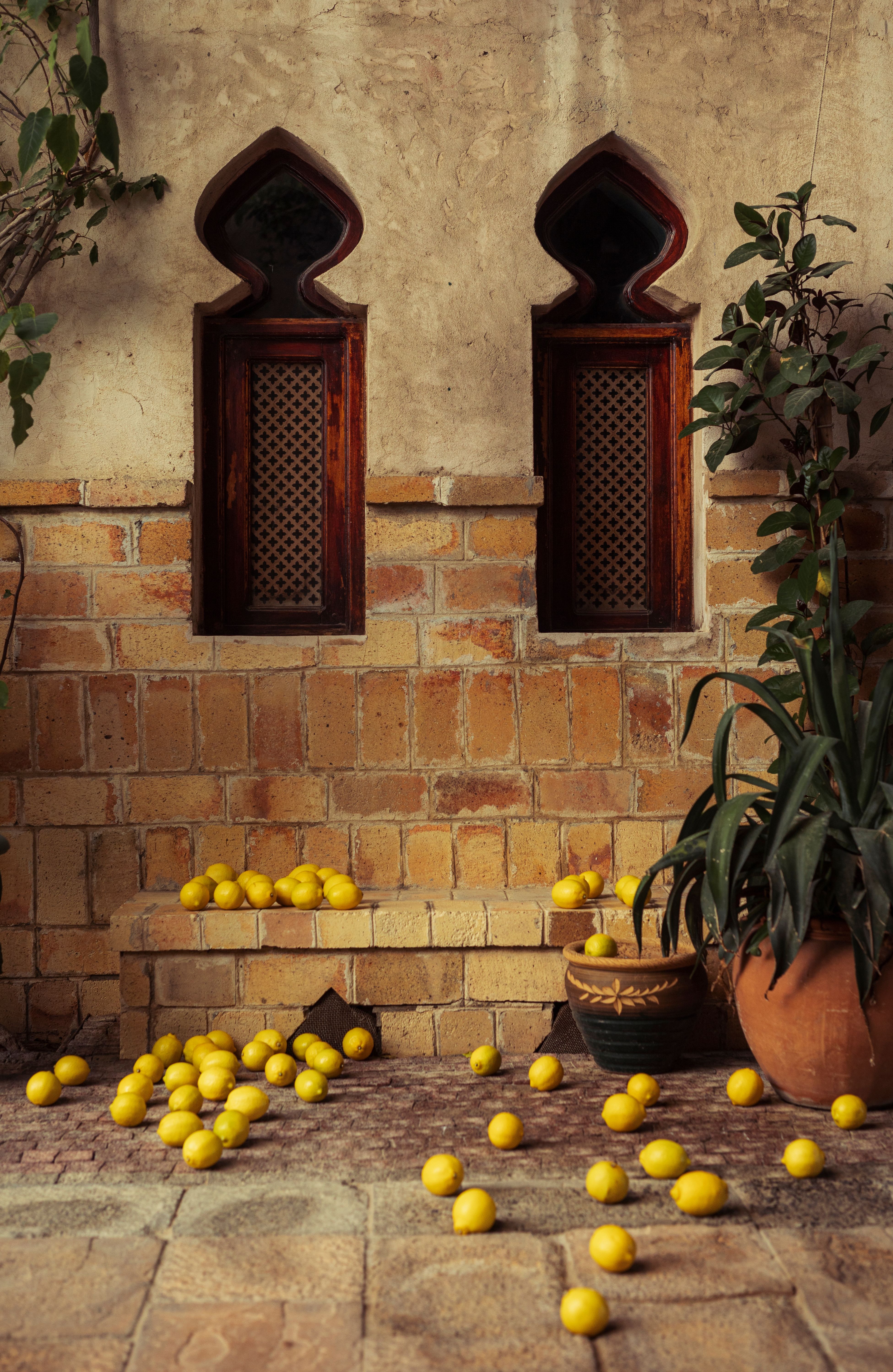 A rustic courtyard in Dubai featuring lemons and traditional arched windows, enhancing Middle Eastern charm.