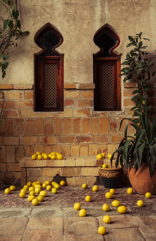 Бесплатное стоковое фото с вертикальный выстрел, кирпичная стена, лимоны