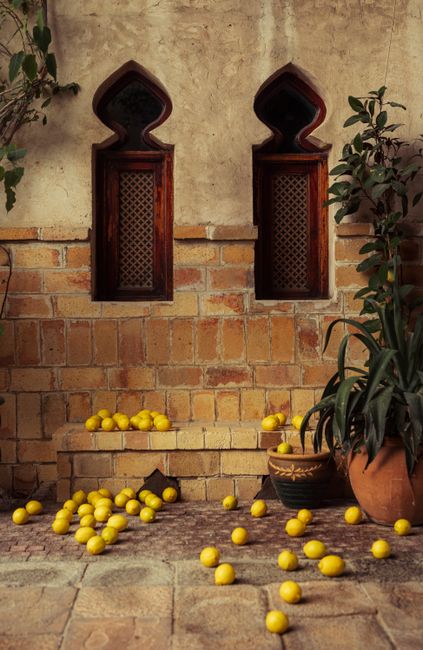 A rustic courtyard in Dubai featuring lemons and traditional arched windows, enhancing Middle Eastern charm.