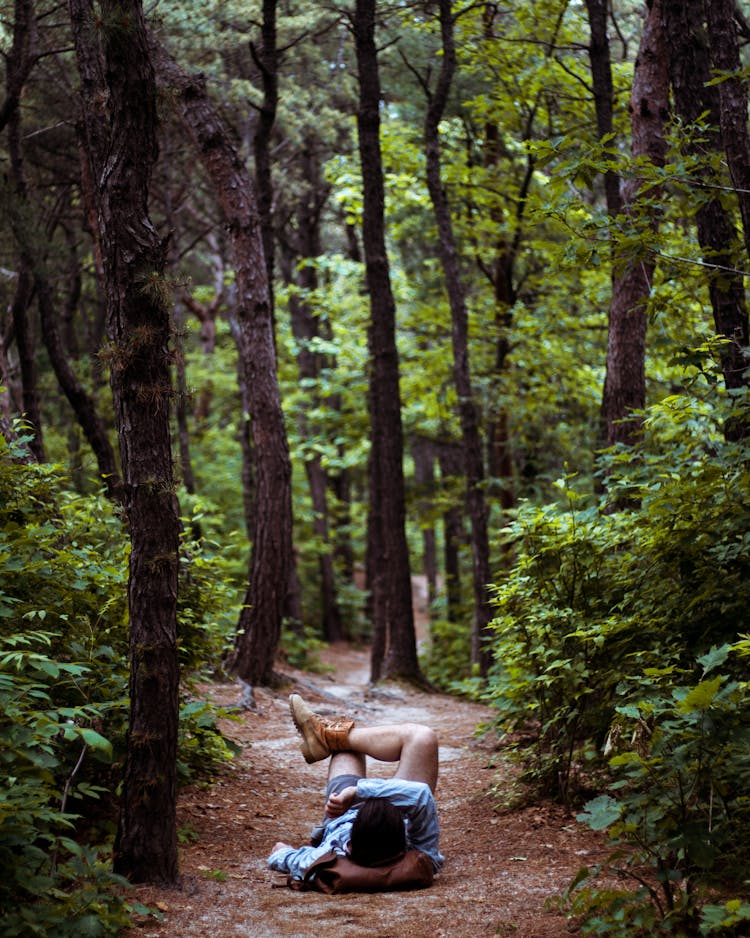 Person Lying On Ground Surrounded By Trees And Leaves