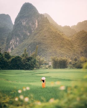 Explore the tranquility of Vietnamese rice fields with majestic mountain views and serene countryside vibes.