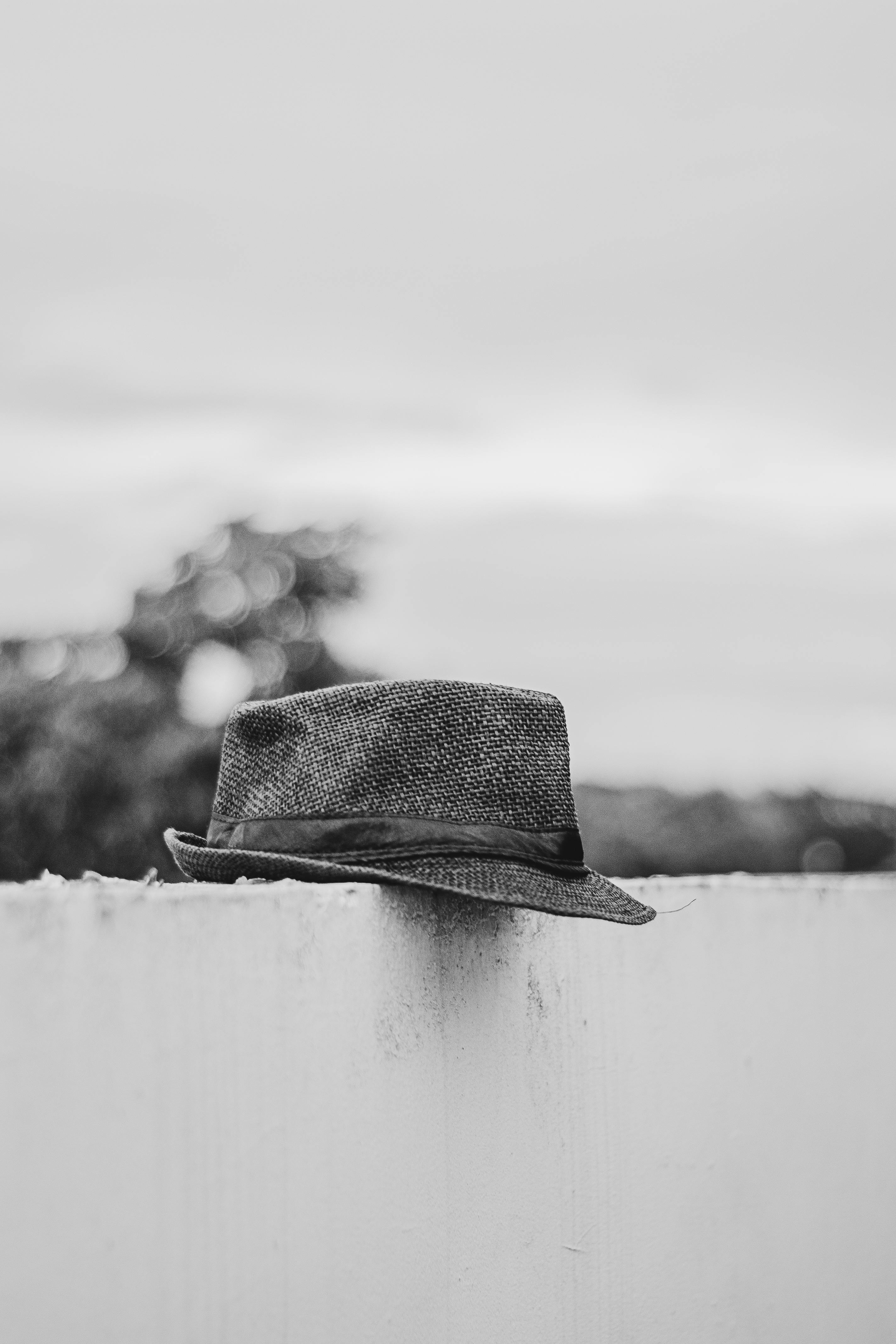 Black Hat Seo