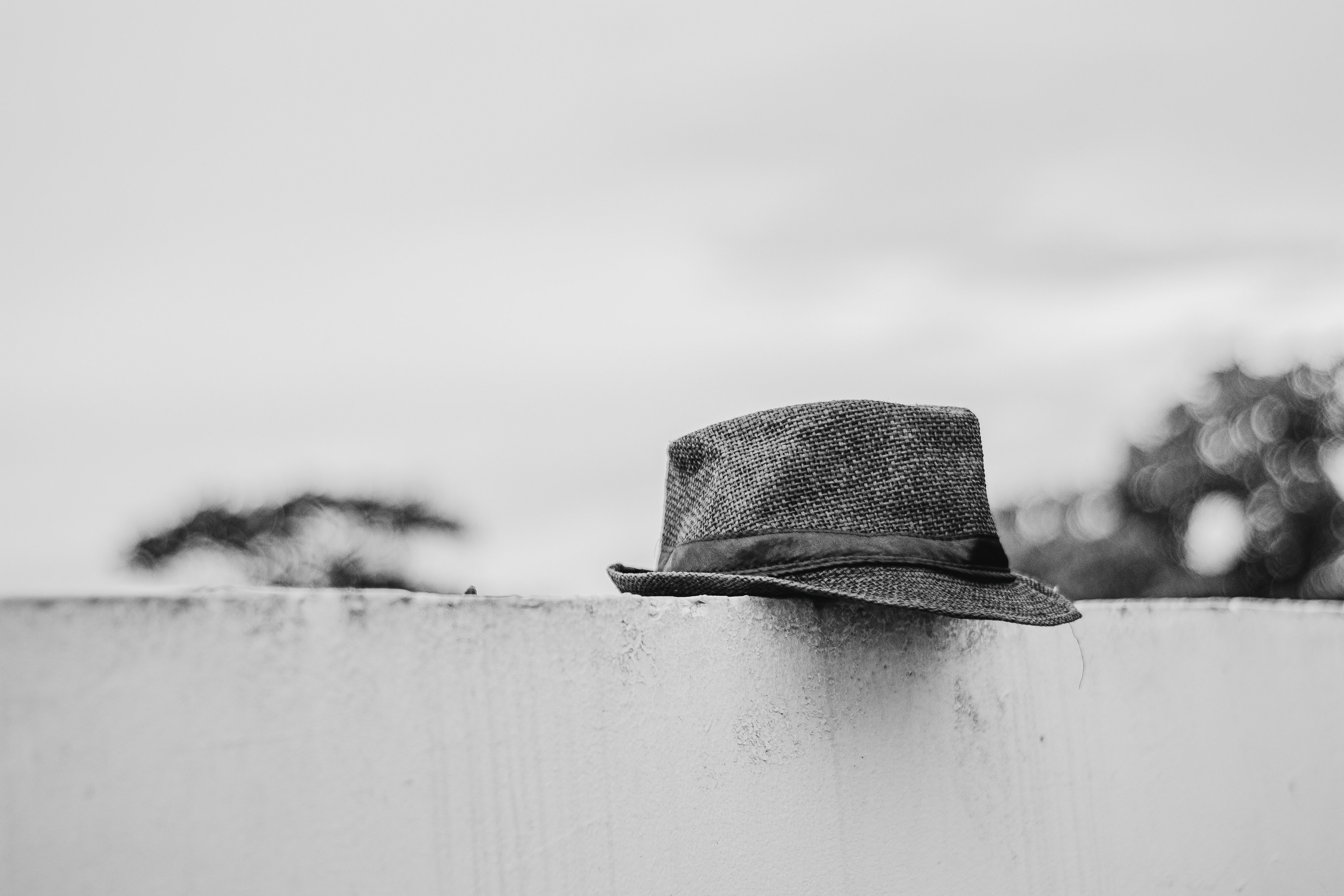 Black Hat Seo