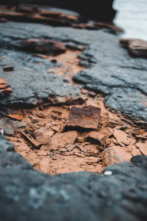 Free Uneven surface of dry ground Stock Photo