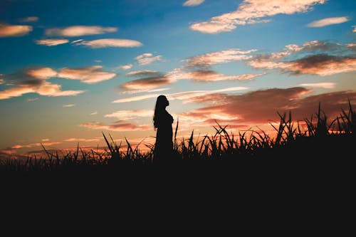 Silhouette of Person Standing on Grass Field during Sunset