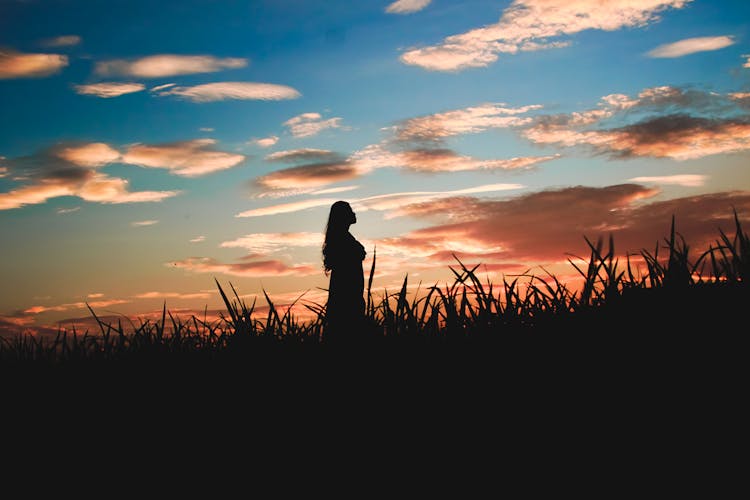 Silhouette Of Person Standing On Grass Field During Sunset