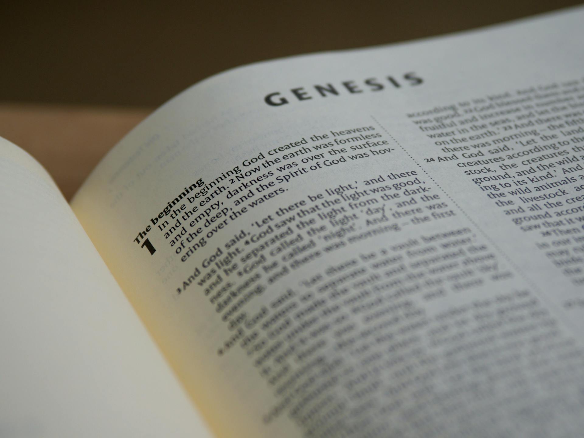Close-Up Photo of Bible