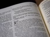 Close-Up Photo of Bible