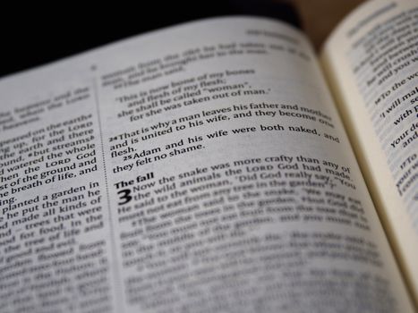 Close-Up Photo of Bible