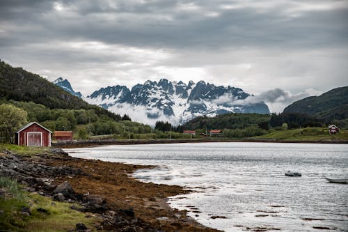 경치, 노르웨이, 농촌의의 무료 스톡 사진