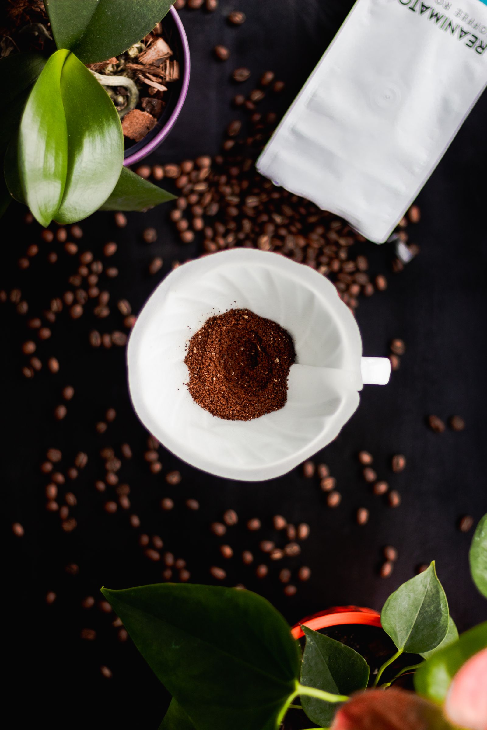 Fondi di caffè accanto a piante in vaso