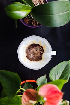 Aesthetic top view of a coffee pour over surrounded by potted green plants.