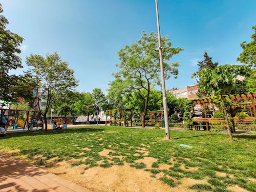 Бесплатное стоковое фото с голубое небо, зеленые деревья, парк