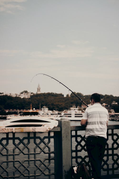 Free A Man Fishing from a Bridge Stock Photo