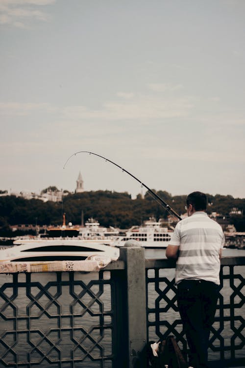 Kostenloses Stock Foto zu angeln, angelrute, erholung