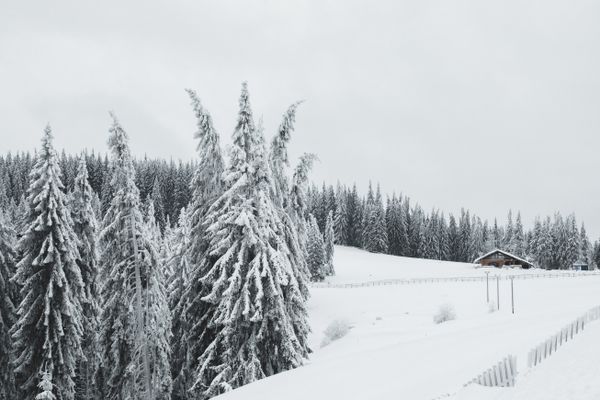 Snowy Cabin in Forest jigsaw puzzle
