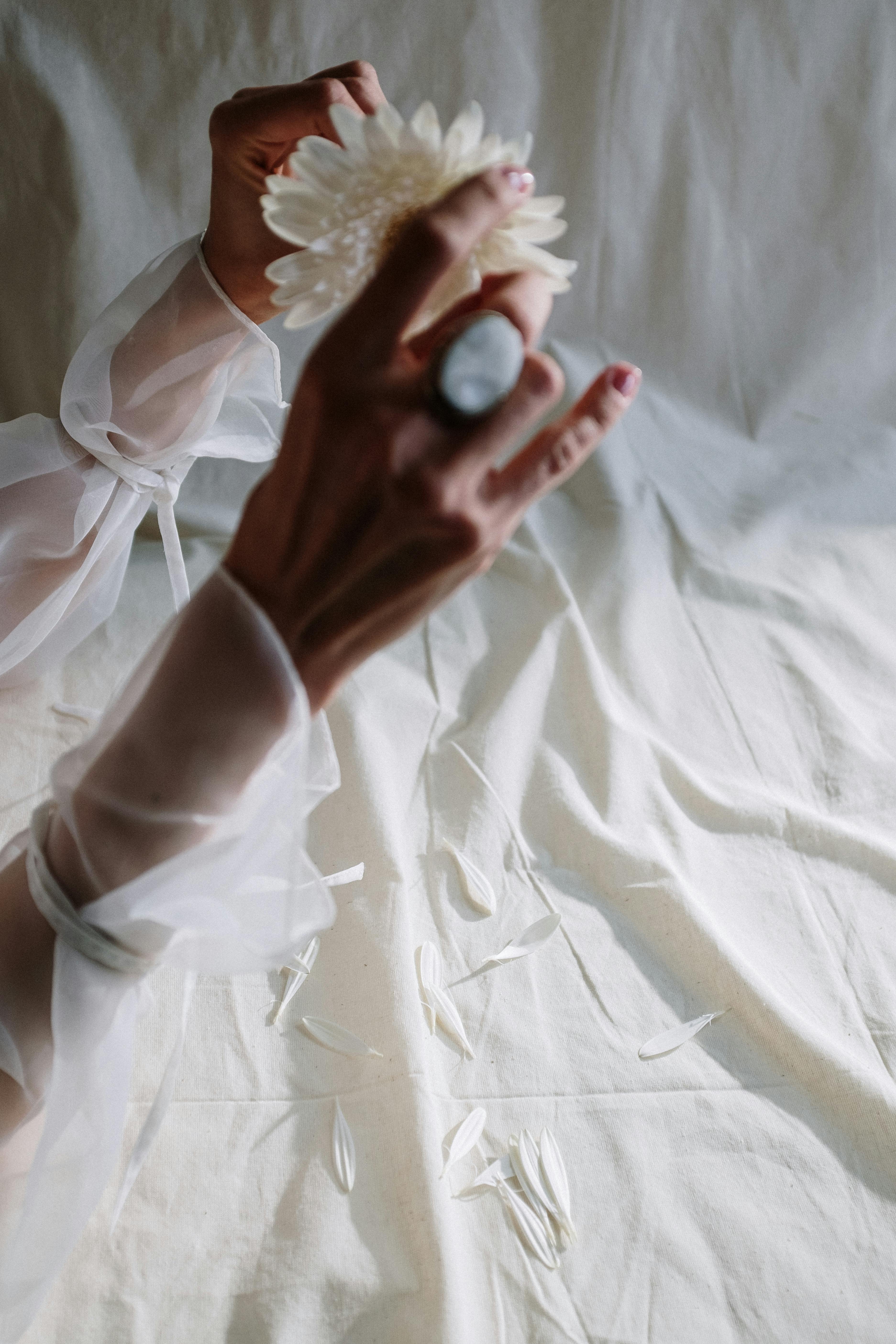 Person Holding Gold and Silver Round Coins · Free Stock Photo