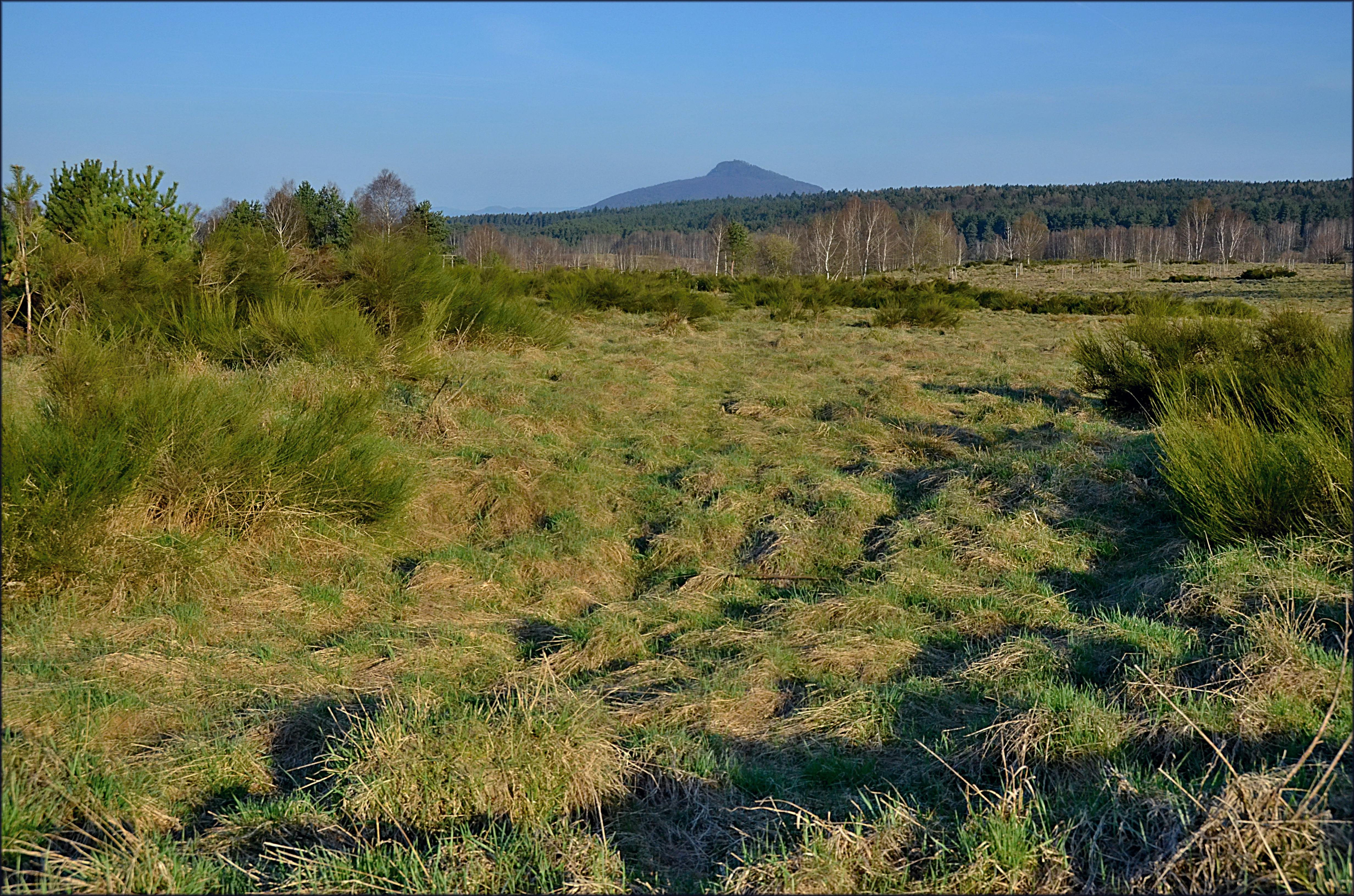 công thức tính số số hạng