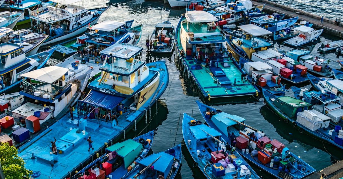 Port Louis Maurice : Guide visite capitale 2026
