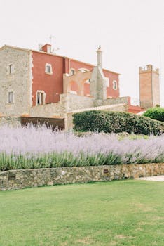 质朴的石头别墅，整齐的草坪和盛开的薰衣草花园